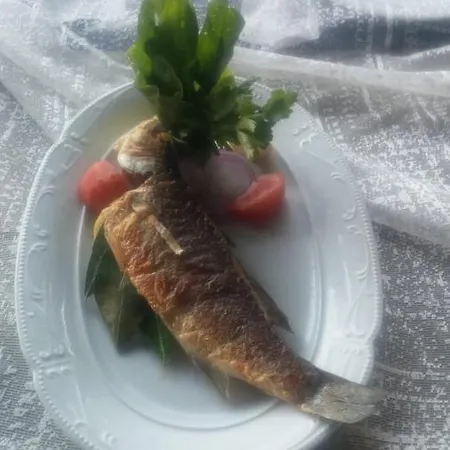 Myosotis Boutque Oel İzmir