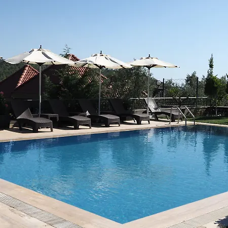 Hotel Myosotis Boutque Oel