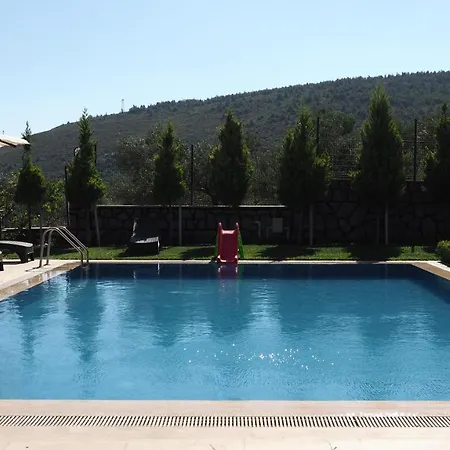 Myosotis Boutque Oel Hotel *
