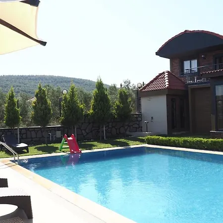 Myosotis Boutque Oel Hotel