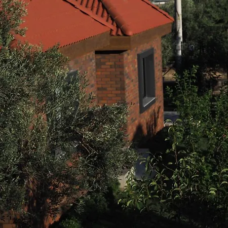 Myosotis Boutque Oel İzmir