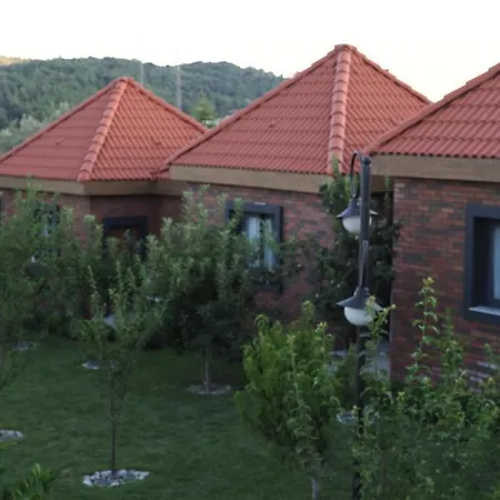 Hotel Myosotis Boutque Oel *