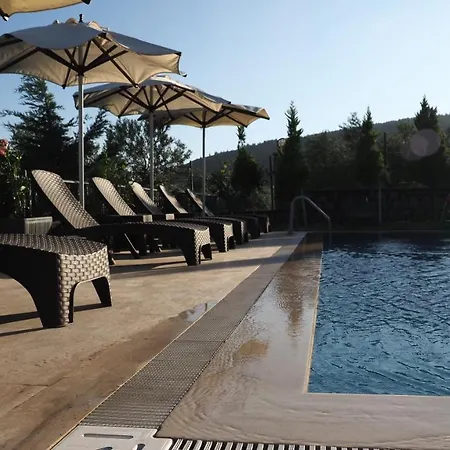 Myosotis Boutque Oel Hotel *