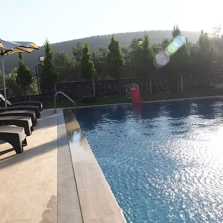 Myosotis Boutque Oel * İzmir
