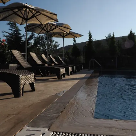 Hotel Myosotis Boutque Oel *
